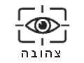 נורית אזהרה של המערכת לניטור הנהג (צהובה) (אם קיימת)